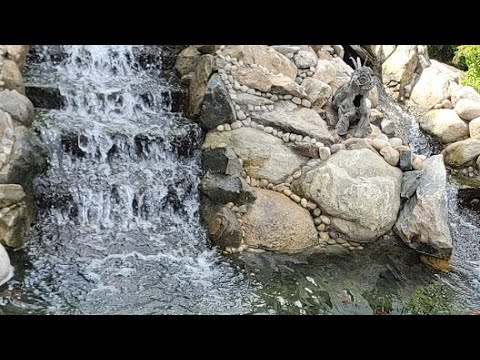 Water Fall In The Morning