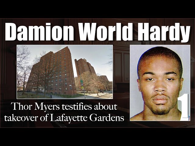 Thor Myers Testifies About A Takeover Of Lafayette Gardens Projects At Damion World Hardy Cmb Trial