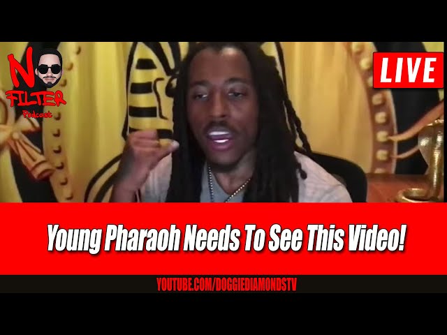 Young Pharaoh Needs To See This Video!