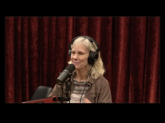 Joe Rogan Experience Episode #2213: An Insightful Conversation With Diane K. Boyd